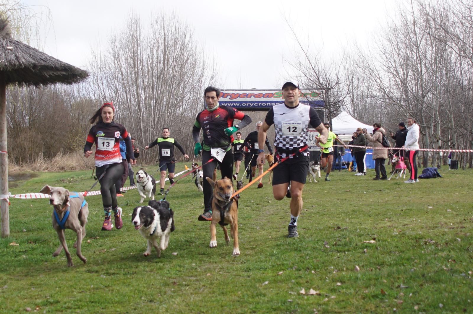 iv-canicross-alba-de-tormes-5