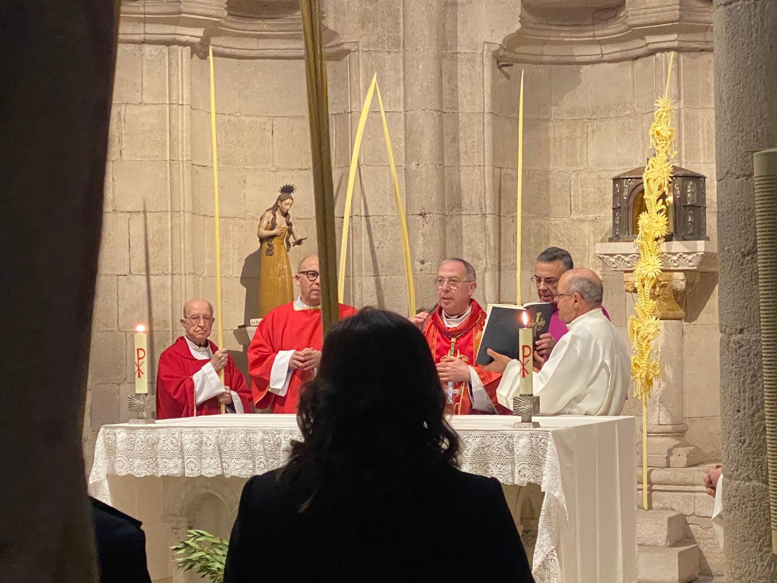 GALERÍA | Zamora celebra la bendición de palmas en este Domingo de Ramos