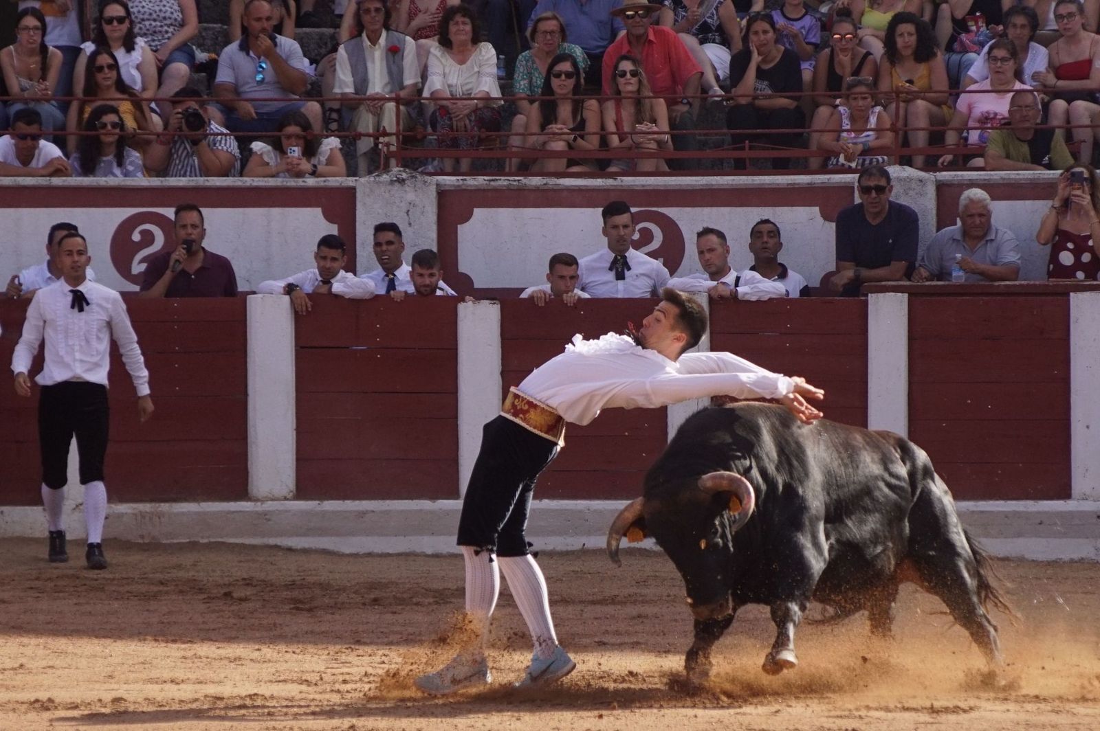 whatsapp-image-2023-07-02-at-22-40-28