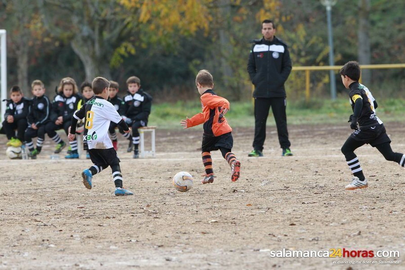 Prebenjamín: Unionistas de Salamanca