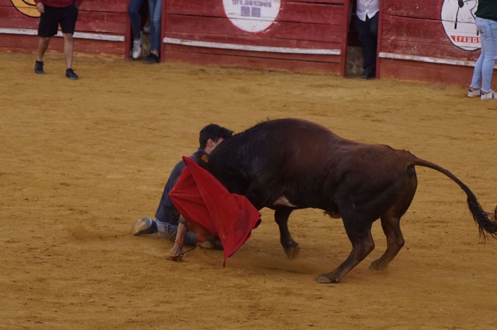 d32073b2-369f-40c4-8e9c-0d13aa52510f