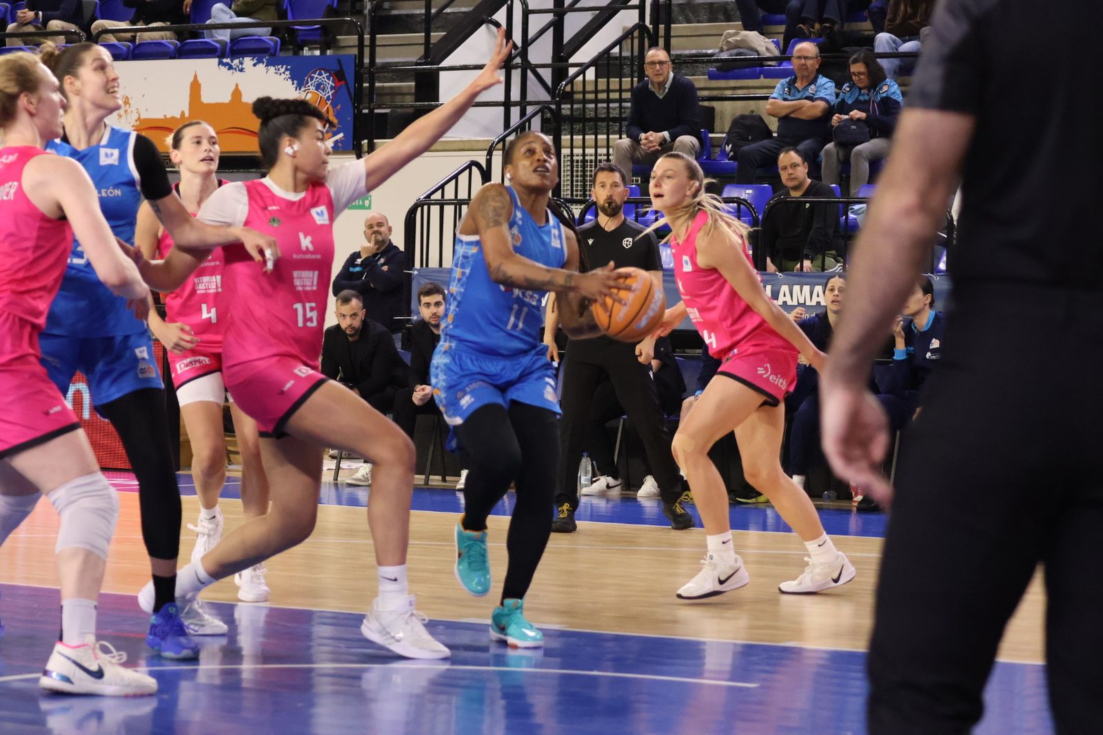 Perfumerías Avenida - Araski