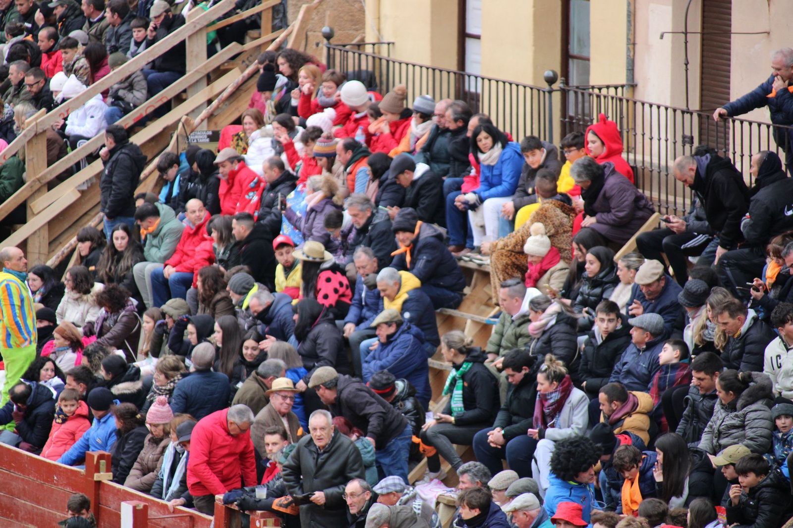 whatsapp-image-2025-03-02-at-16-55-36