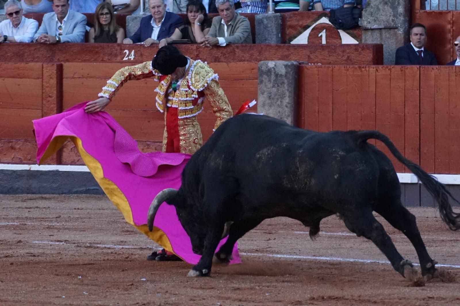 Emilio de Justo, Juan Ortega y Roca Rey inauguran el cartel de figuras en la feria de Salamanca: la corrida de Garcigrande en imágenes