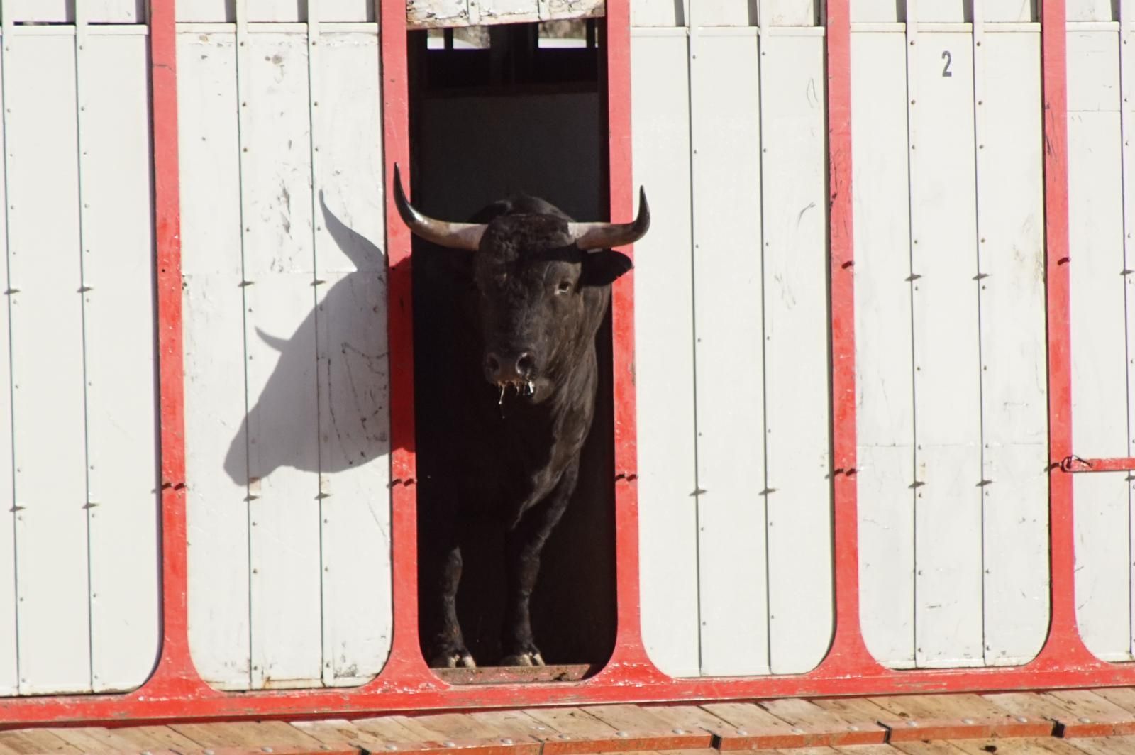 whatsapp-image-2023-09-08-at-19-29-31-1