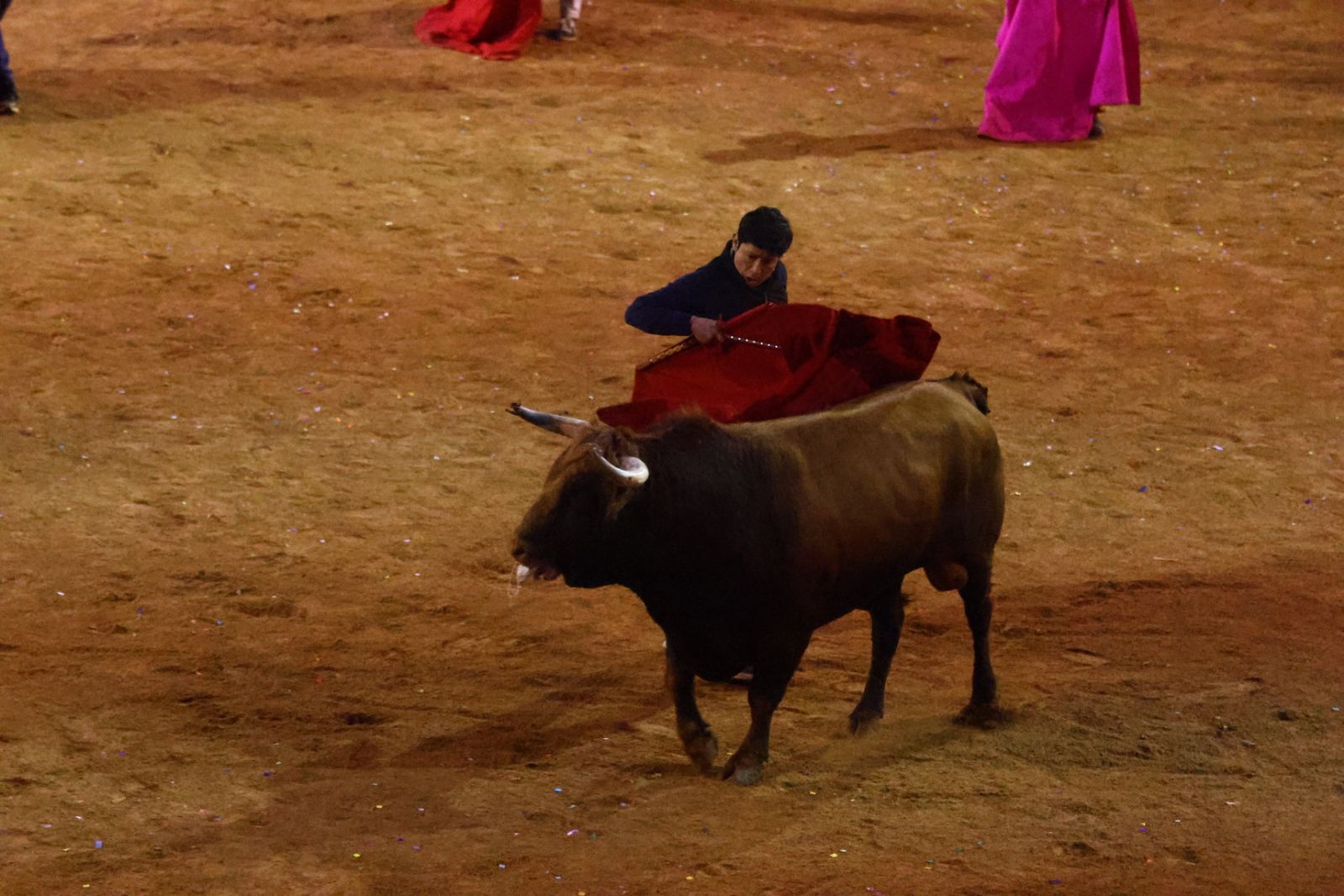 Capa y desencierro de tarde de lunes en el Carnaval del Toro 2026