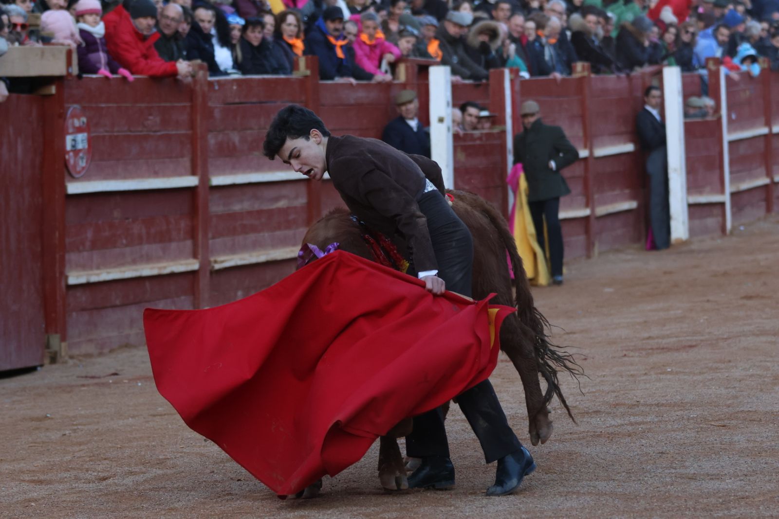 Festival taurino del Sábado en el Carnaval del Toro 2026 de Ciudad Rodrigo