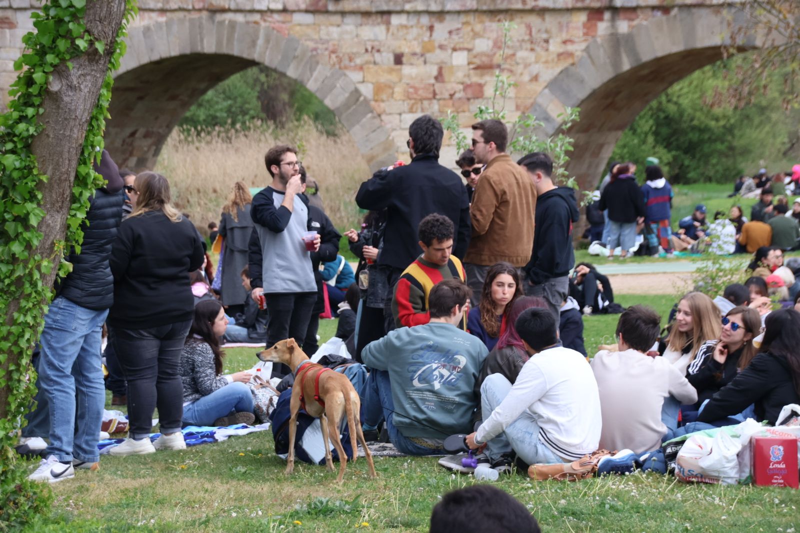 Un multitudinario Lunes de Aguas en Salamanca llena la ribera del Tormes