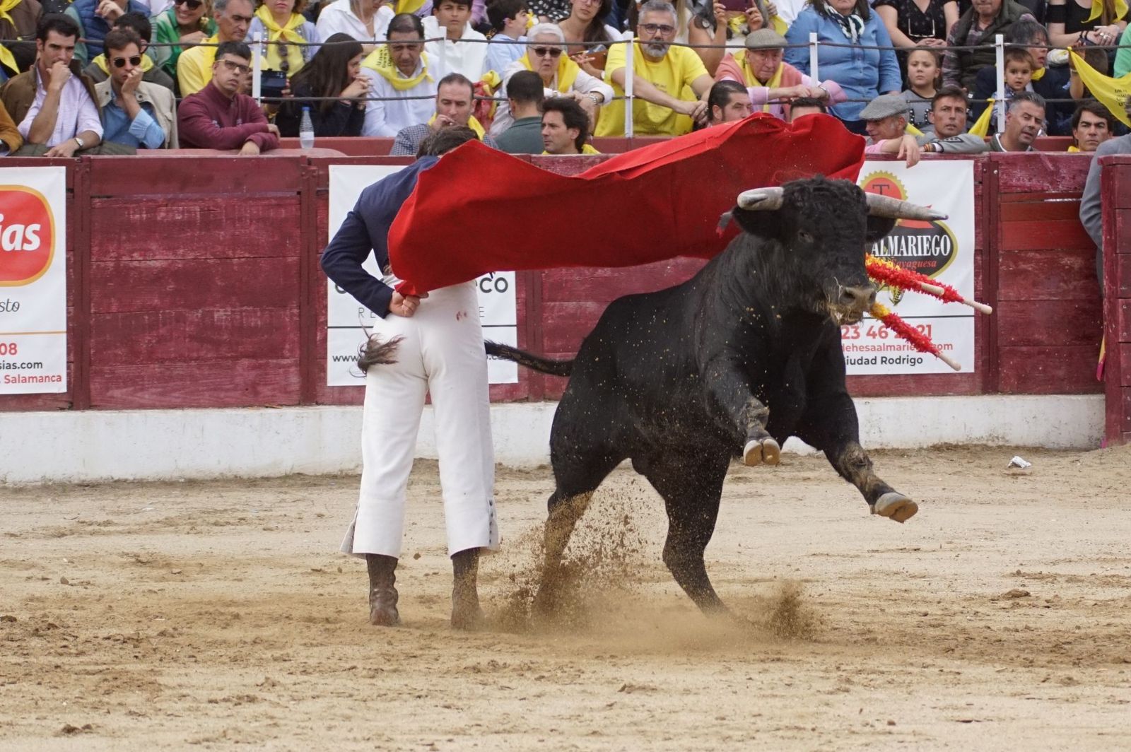 whatsapp-image-2024-10-05-at-19-56-51-3