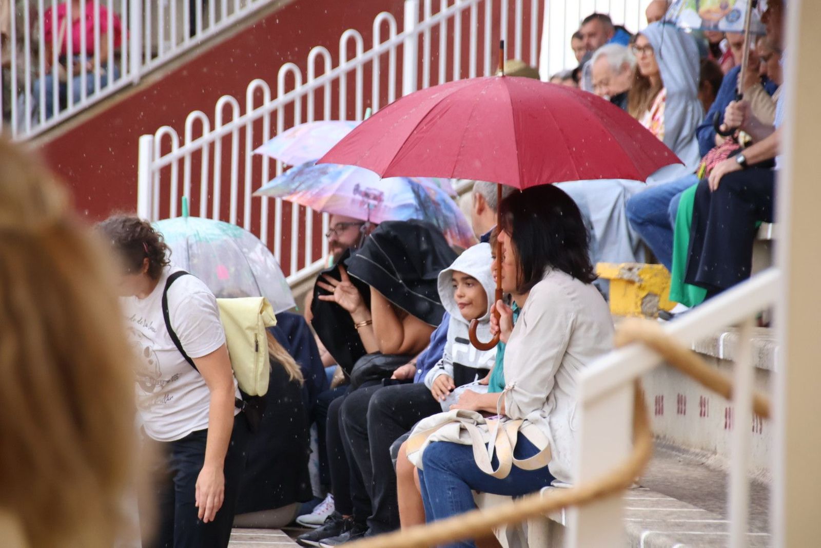 20230902114143-img-7172