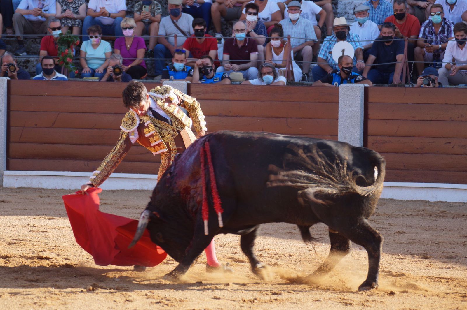 toros-en-guijuelo-15-de-agosto-37