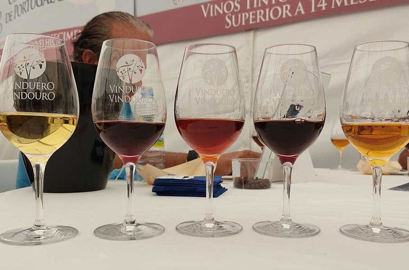 Vino VinDuero VinDouro