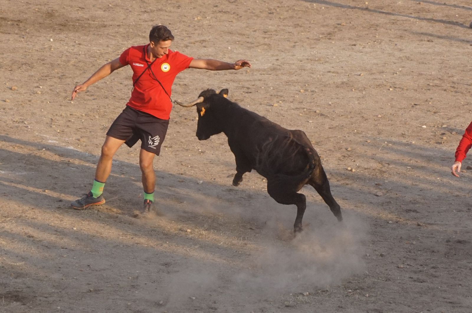 Carreras, risas y tradición: así se ha vivido El Toro en Santa Marta