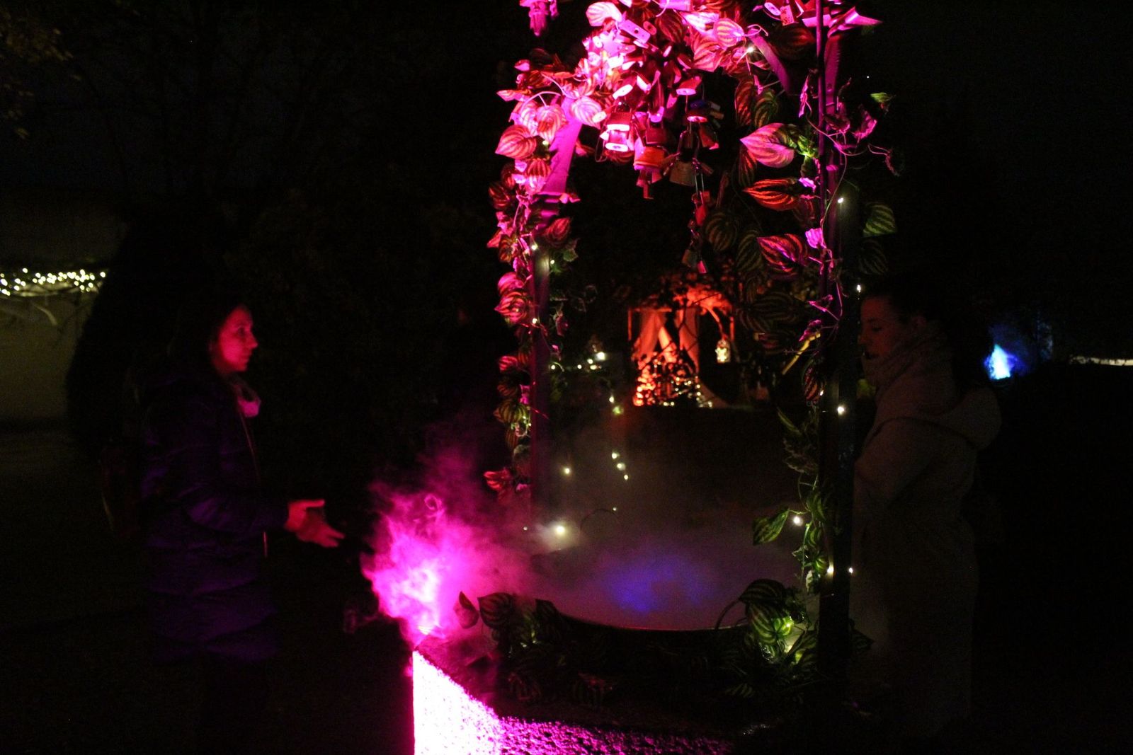 20231204212730-img-6411