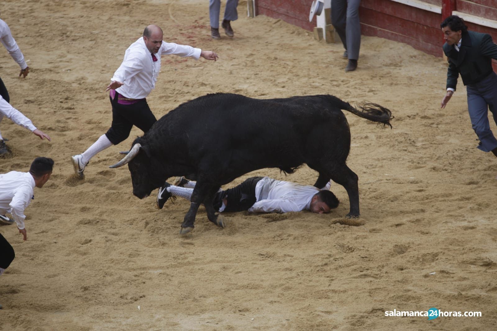 Use Ciudad Rodrigo (3)