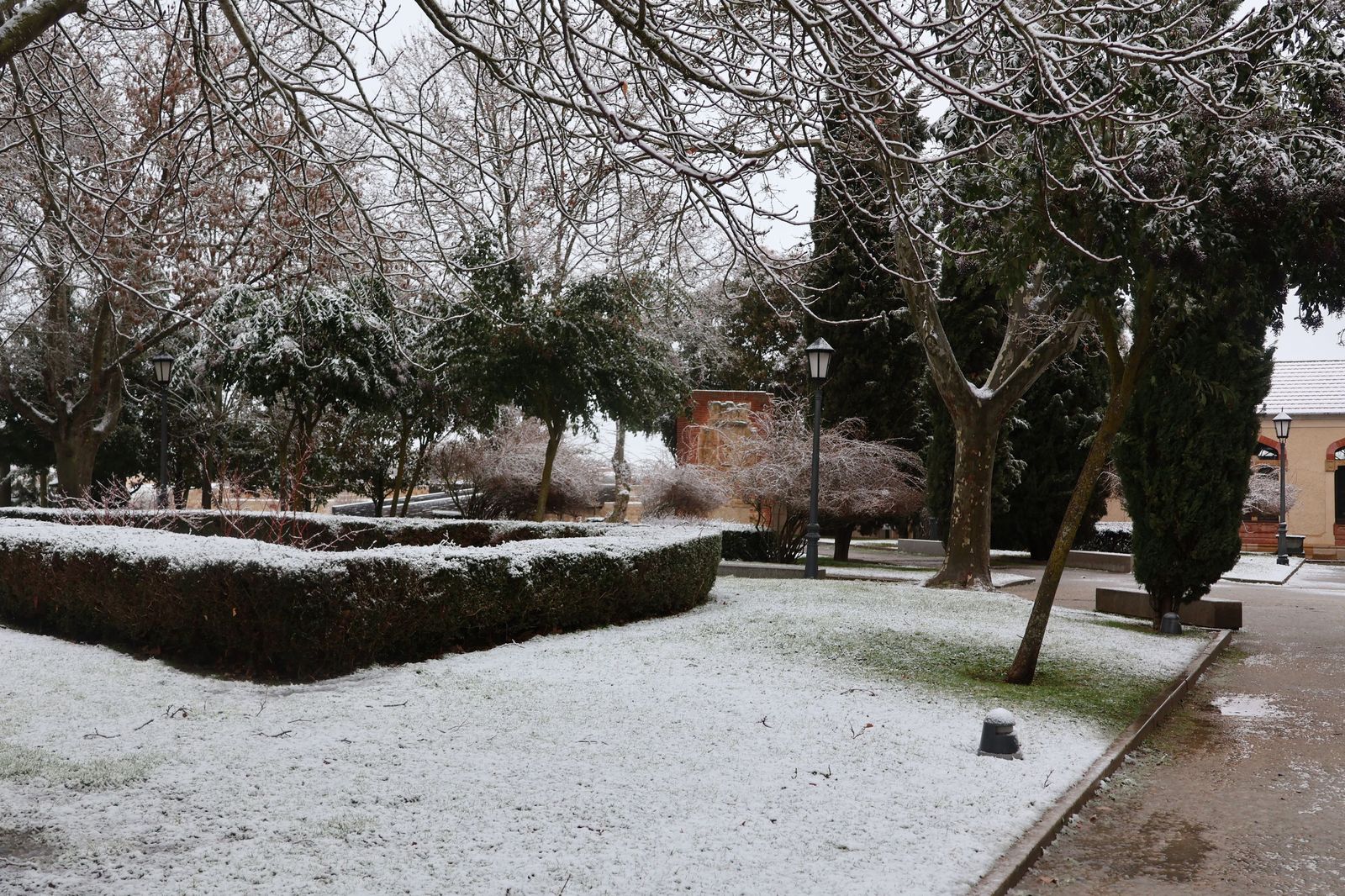 GALERÍA | Nieve en Zamora capital este miércoles