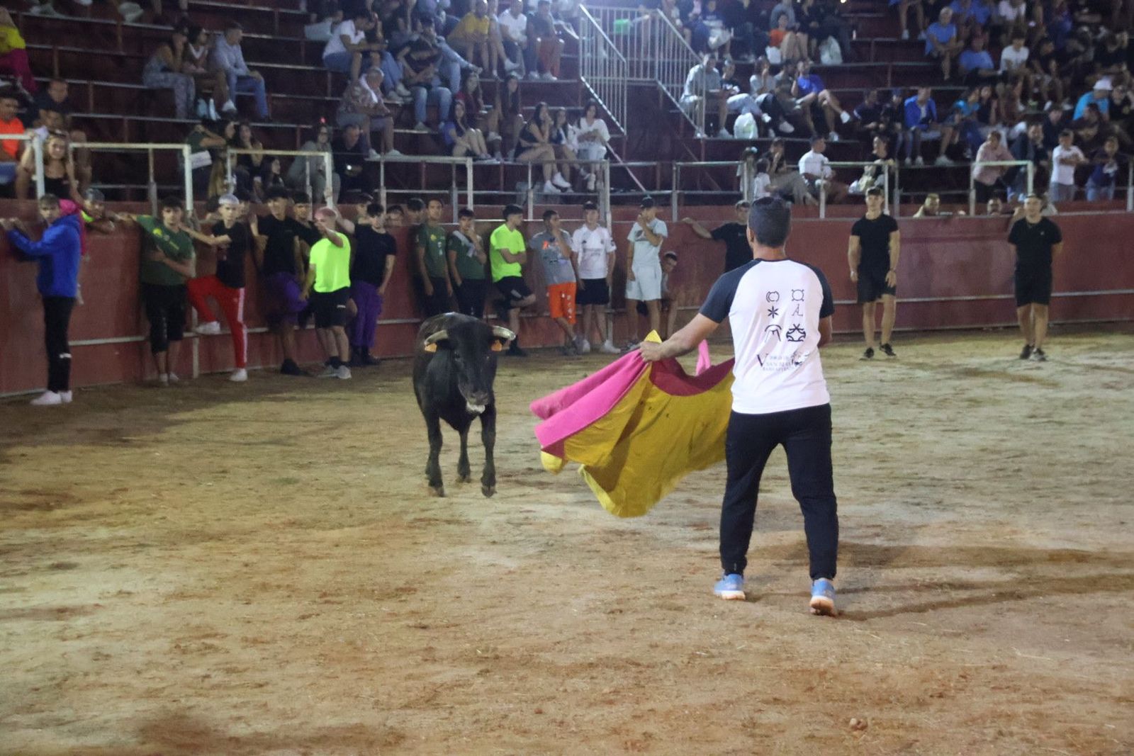 20240815214831-img-3760