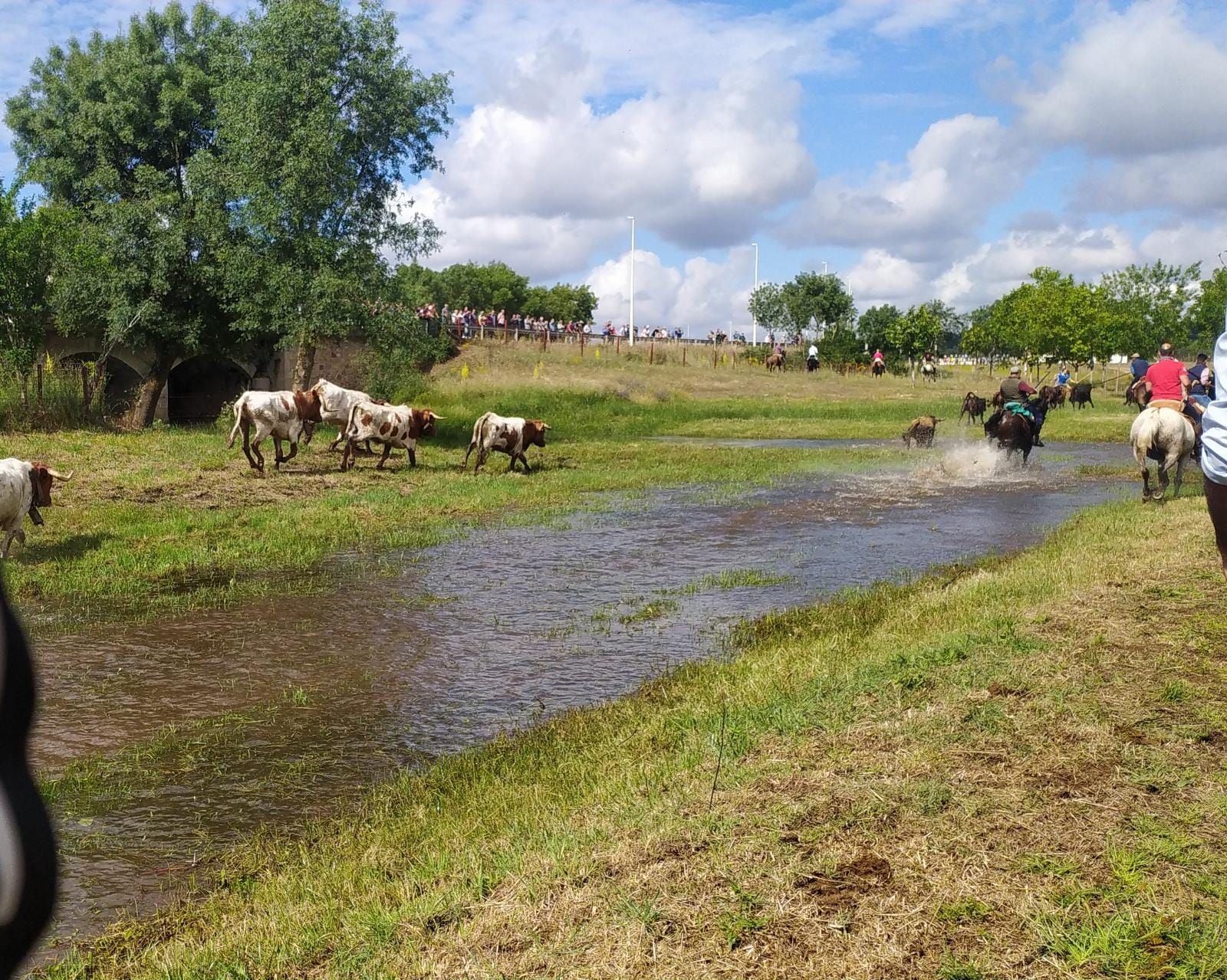Encierro a caballo en Sancti Spiritus (1)