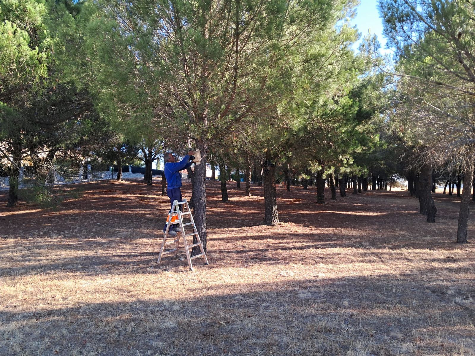 Instalación cajas nido
