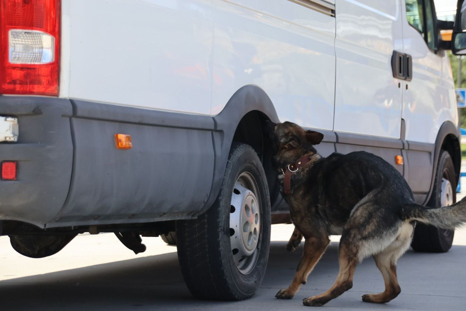 20230608102951-img-0440