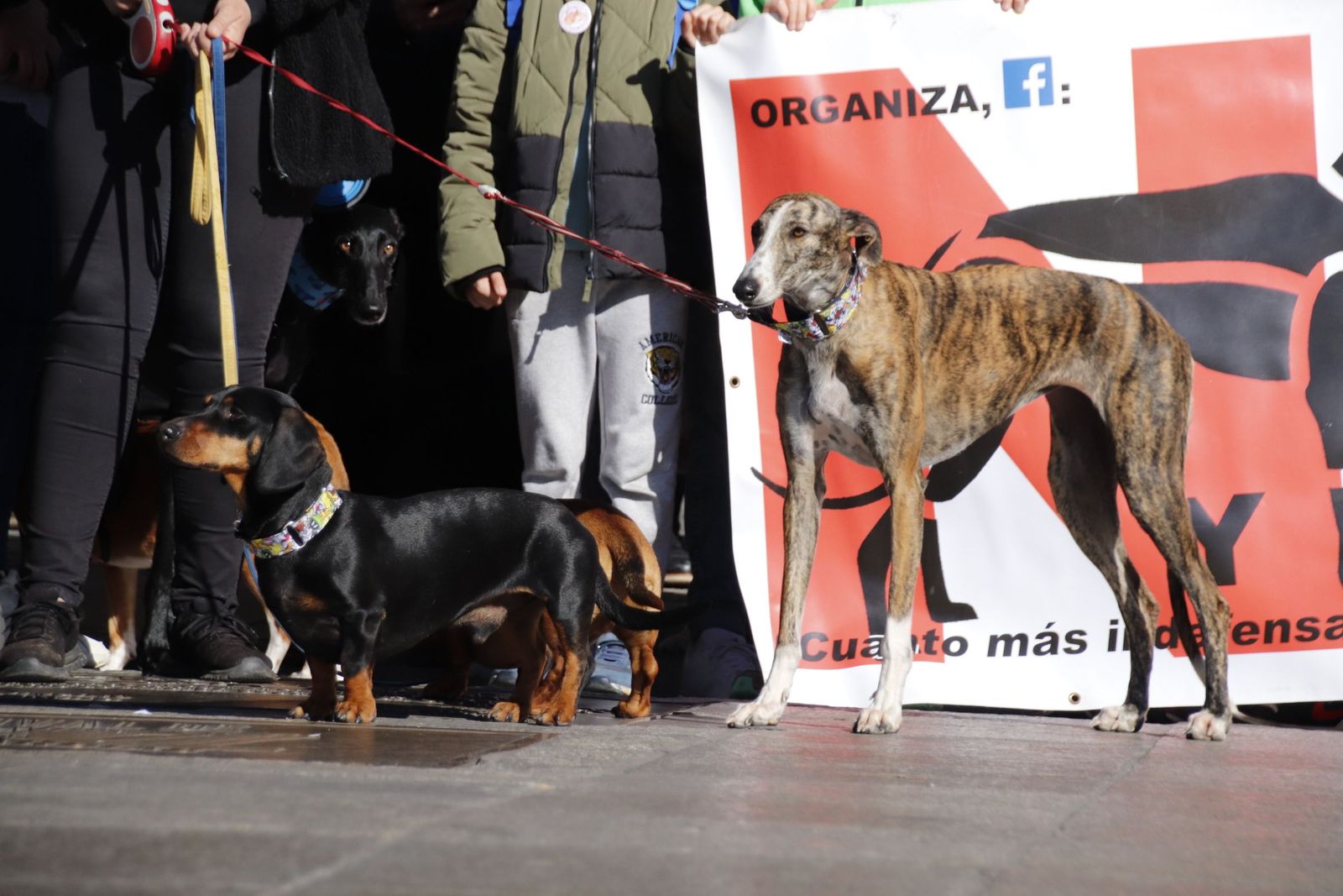 20230205121913-mg-5734