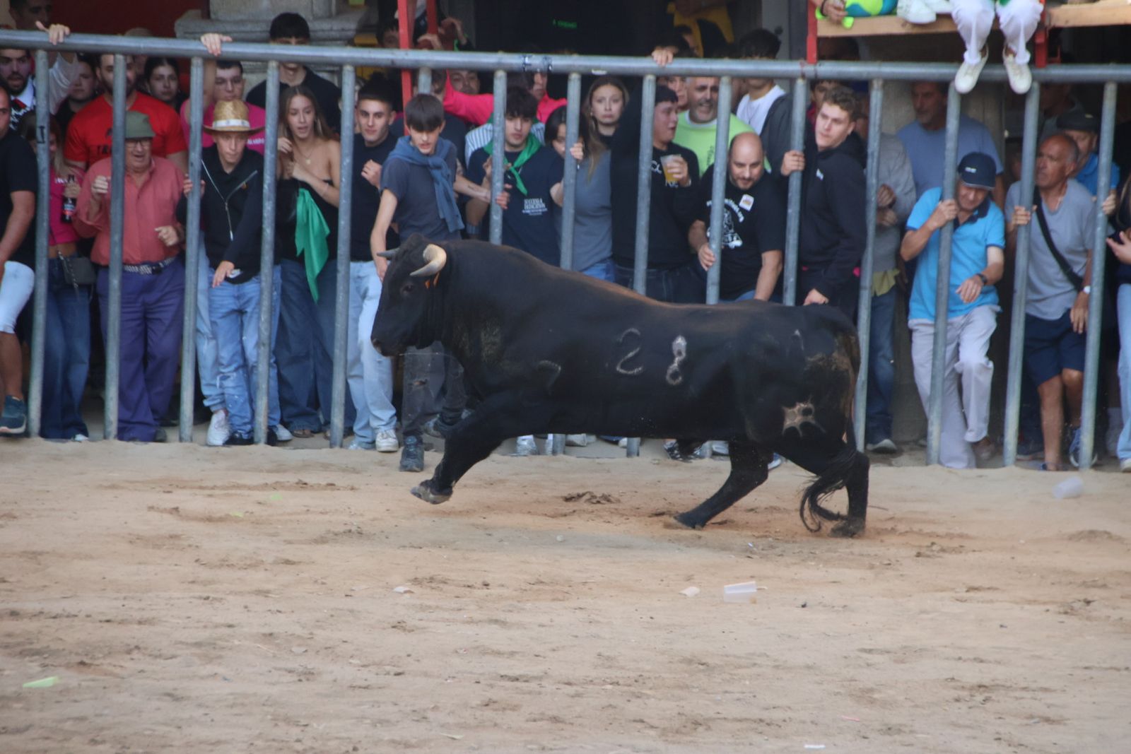 Encierro en Aldeadávila
