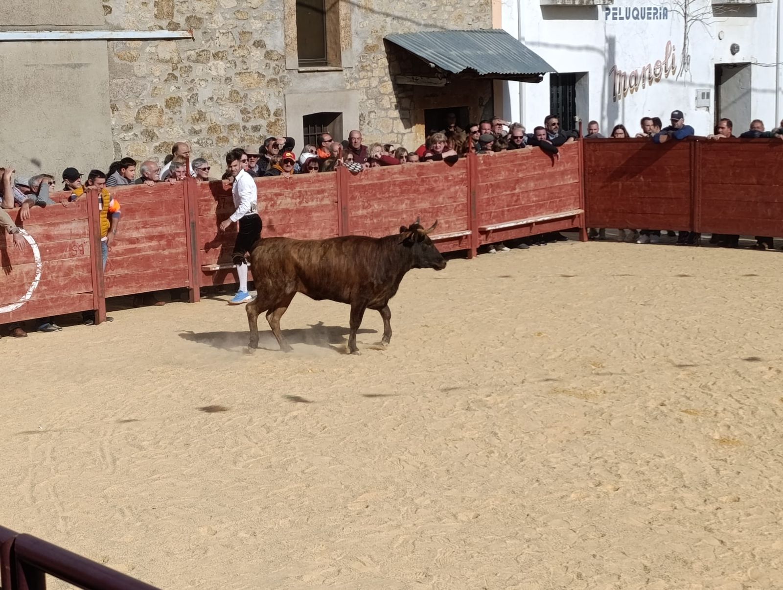 whatsapp-image-2024-05-18-at-18-56-47-2