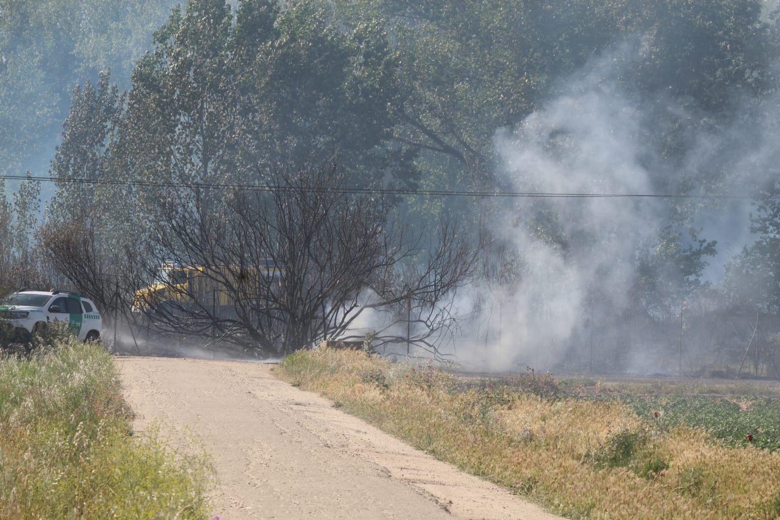 whatsapp-image-2023-05-09-at-18-17-39-1