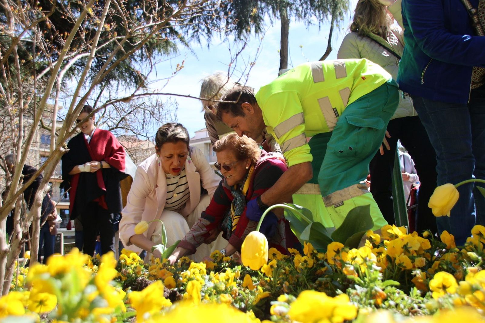 20240410121133-img-7386