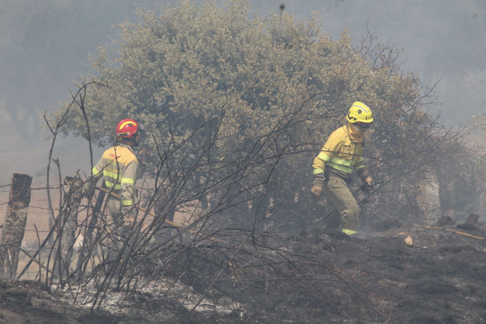 Incendio forestal en Buenavista. Fotos Carlos H.G