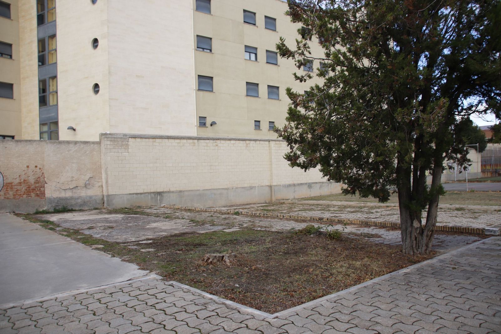 20221026104525-mg-7377