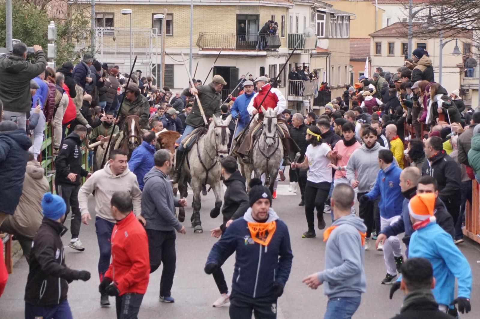 Encierro a Caballo en el Carnaval del Toro 2026 de Ciudad Rodrigo