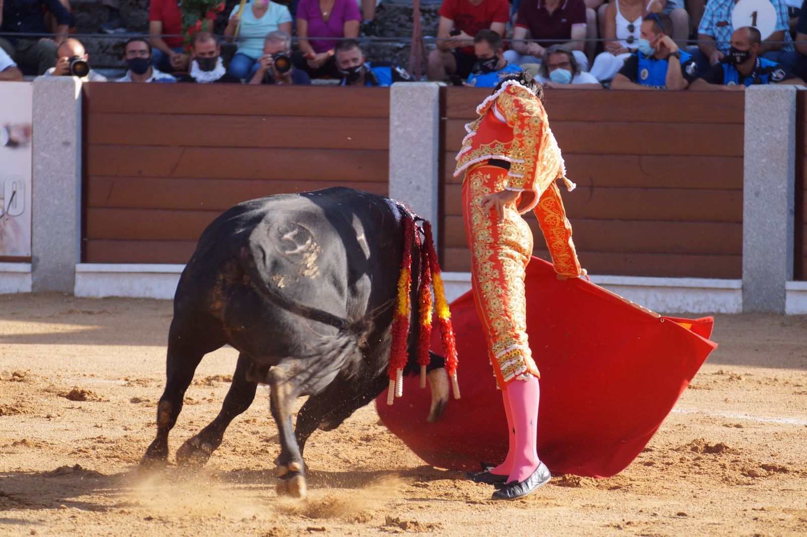 toros-en-guijuelo-15-de-agosto-12