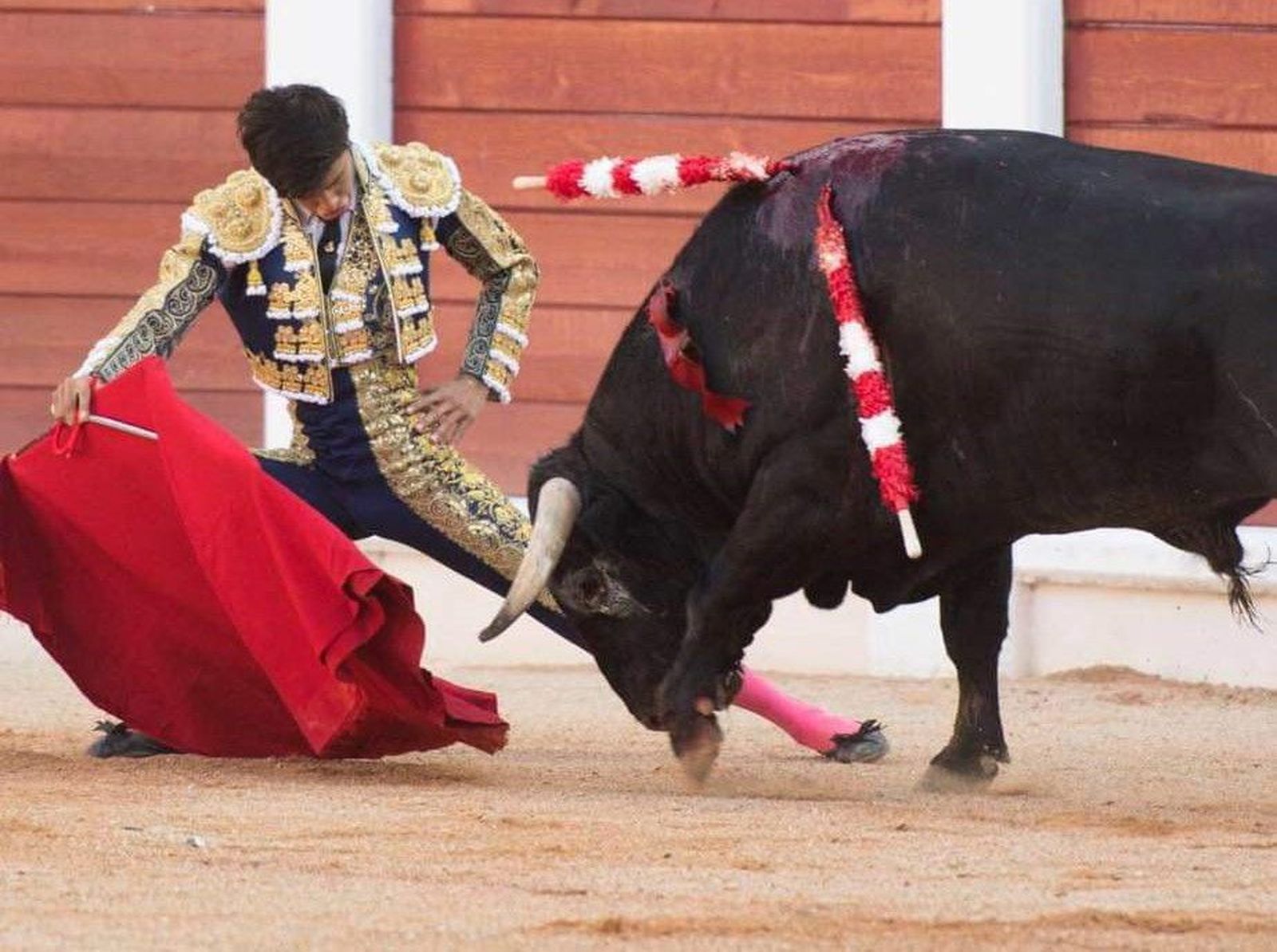 Novillero salmantino Manuel Diosleguarde.  FOTO Facebook