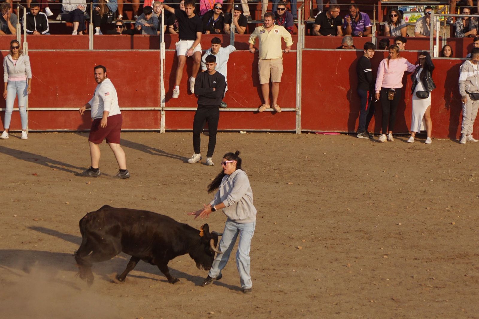 Carreras, risas y tradición: así se ha vivido El Toro en Santa Marta