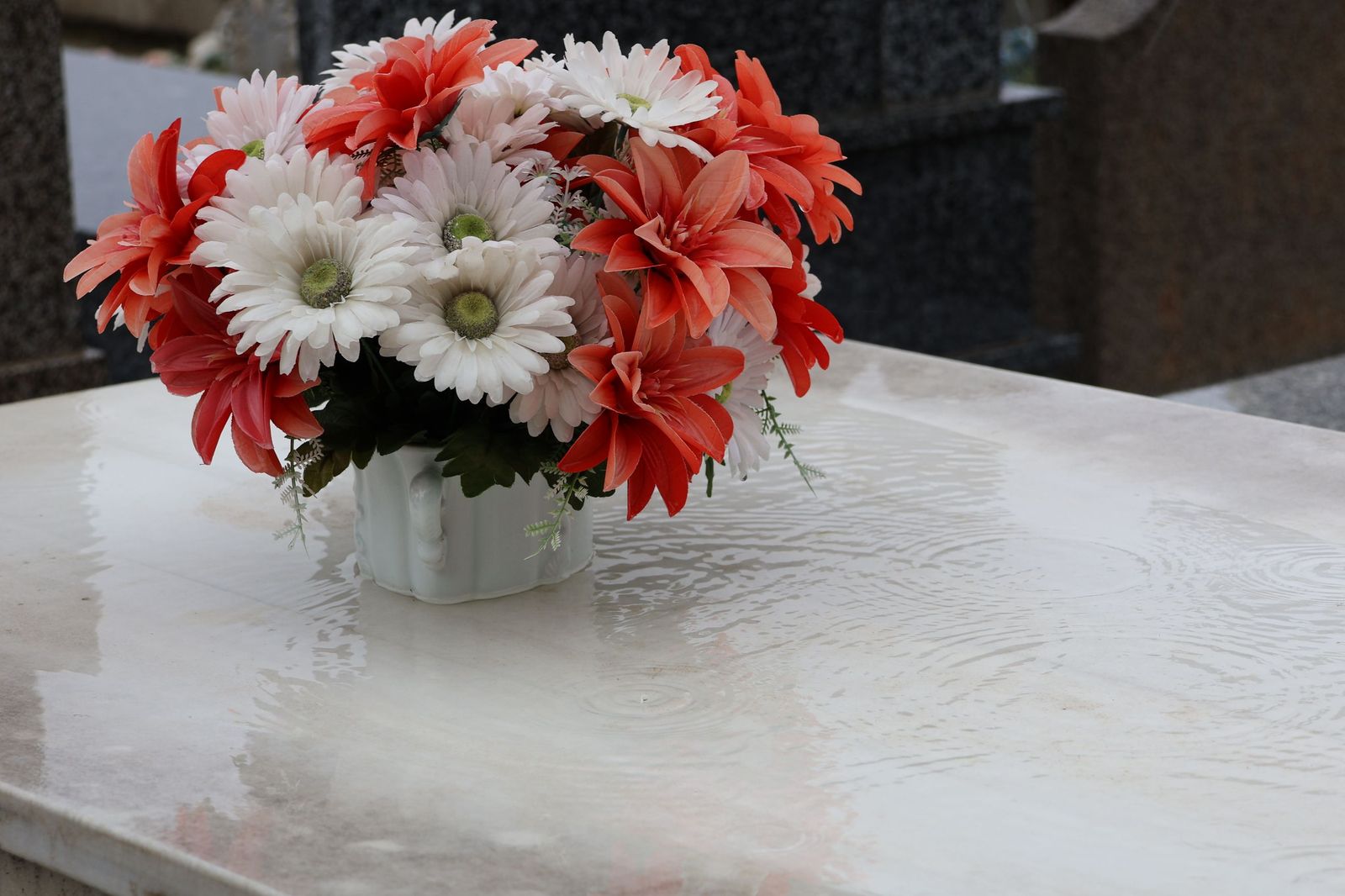 GALERÍA | La lluvia no detiene la tradición: los zamoranos acuden al cementerio para recordar a sus fallecidos