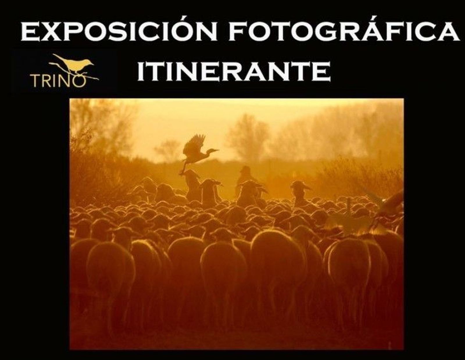 La exposición fotográfica del Proyecto Trino llegará a Guijuelo y Alba