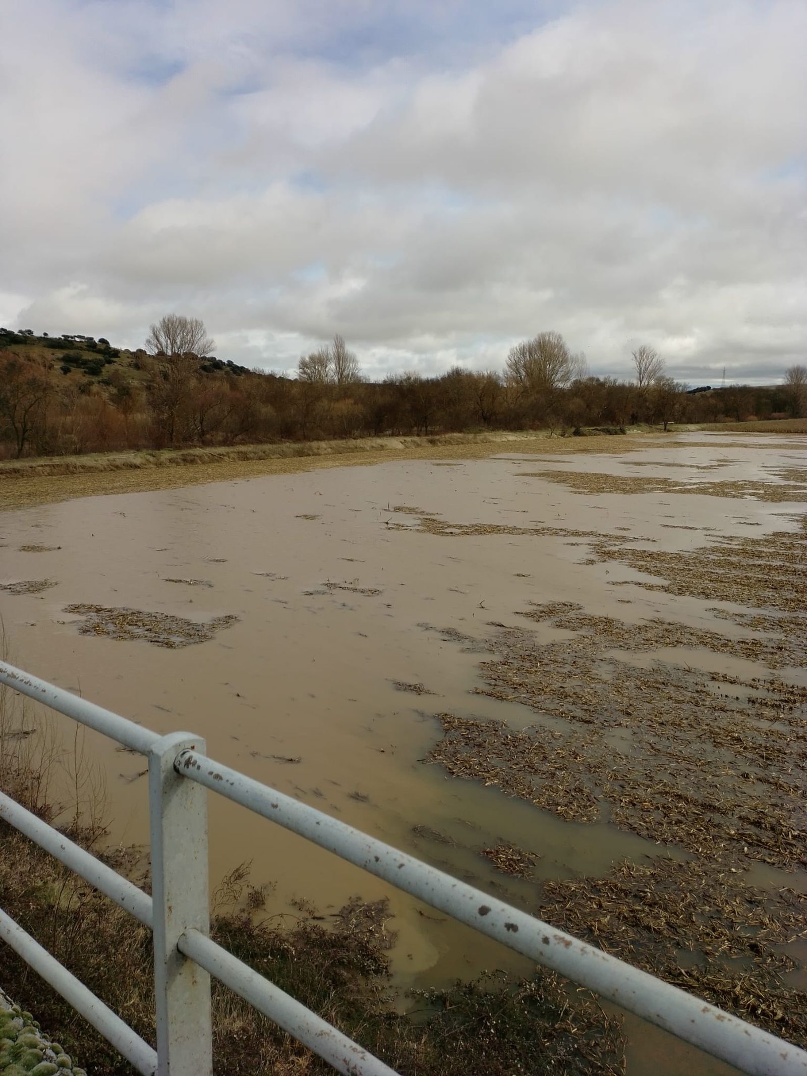 Garcihérnandez, el río Gamo se desborda (5).jpeg