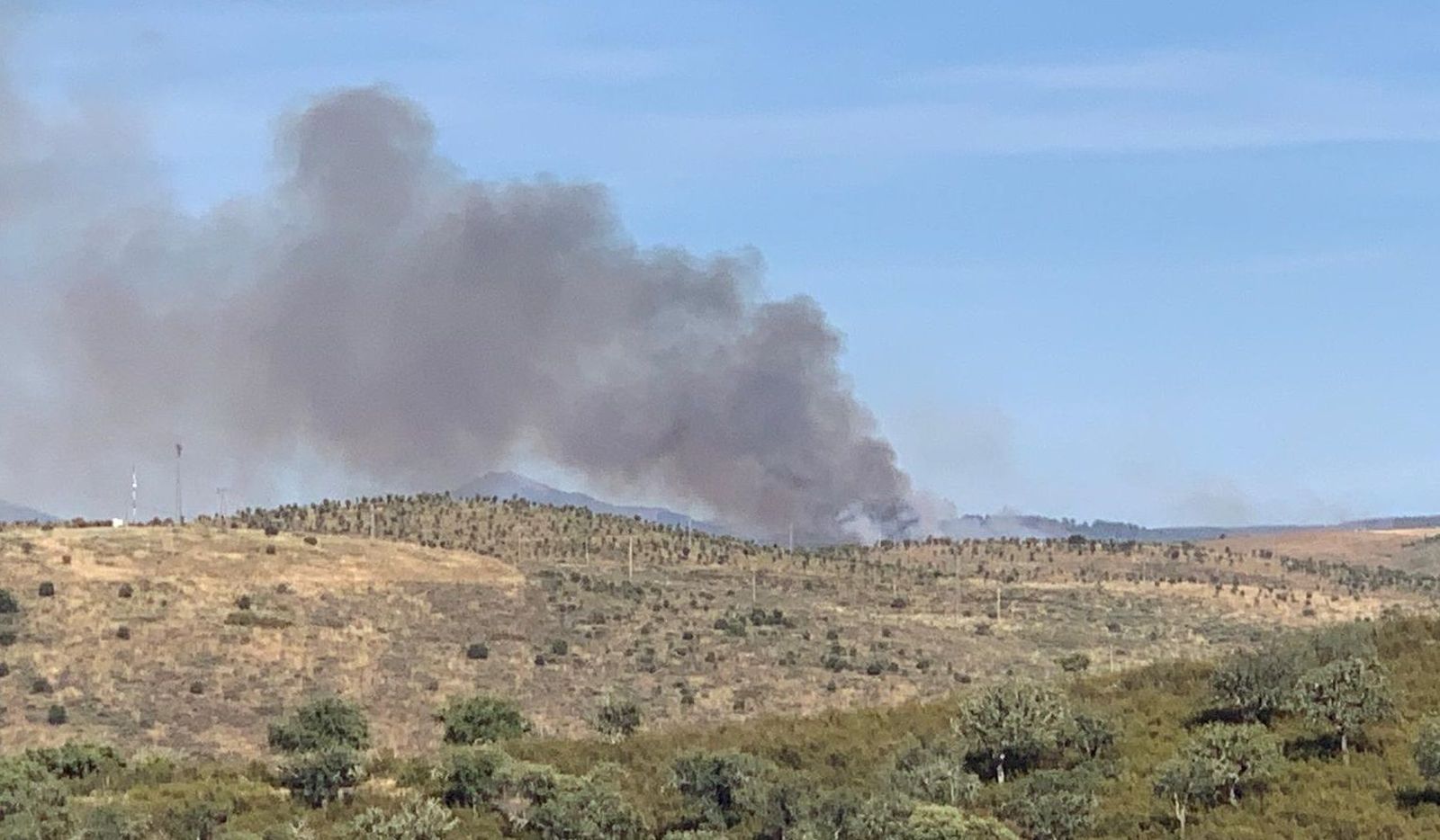 Incendio forestal Zamarra