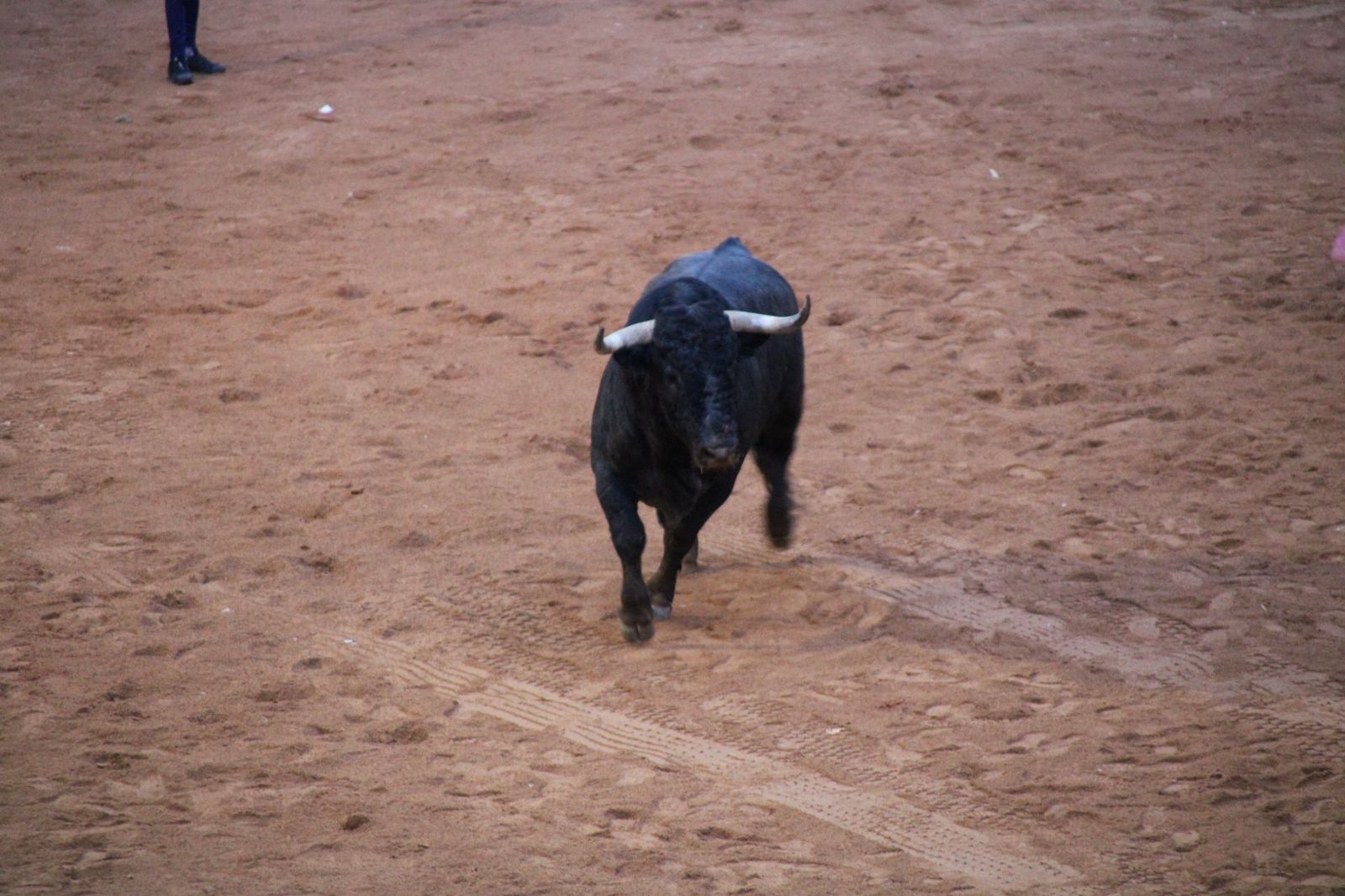 whatsapp-image-2025-03-02-at-19-32-37-1