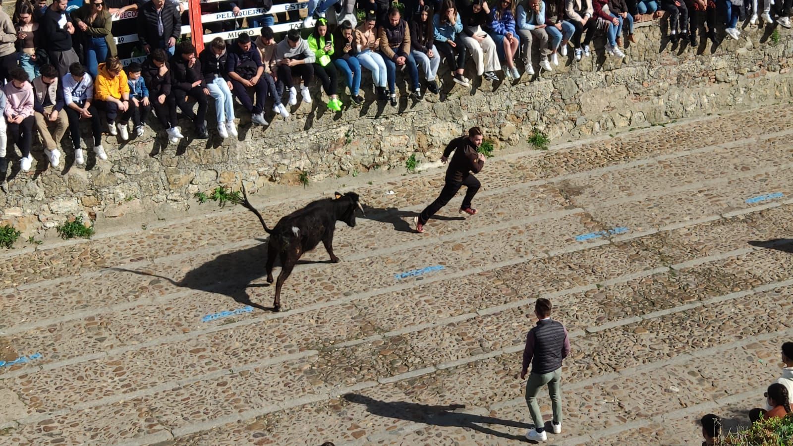 ambiente-con-la-suelta-de-vaquillas-en-el-domingo-de-pinata-en-ciudad-rodrigo-5