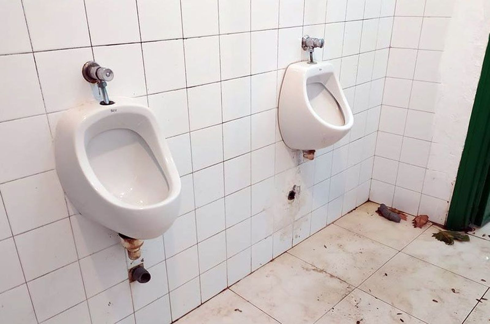 76911624 2645860589027787 3153929265821515776 o