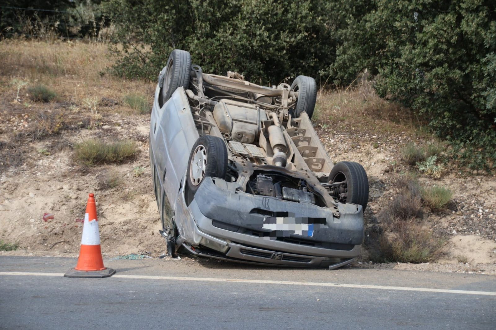 f1cfc099-379d-4649-a504-08f272948ad2