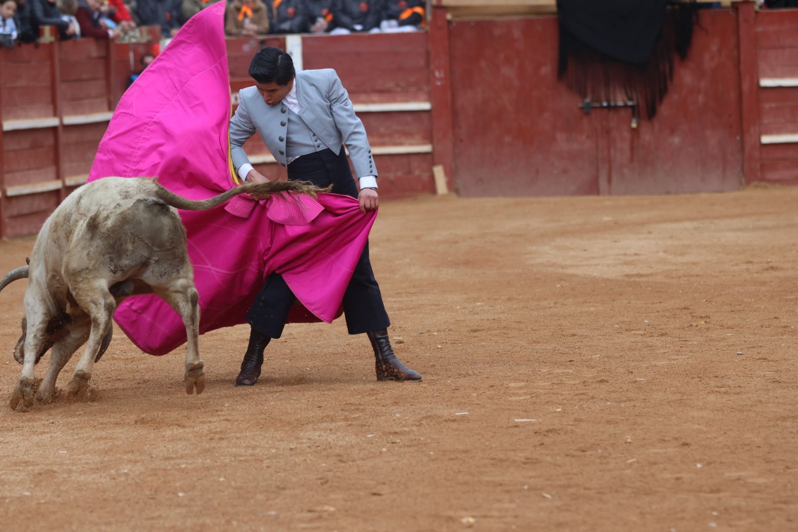 Novillada sin picadores del bolsín taurino y rejones en Ciudad Rodrigo