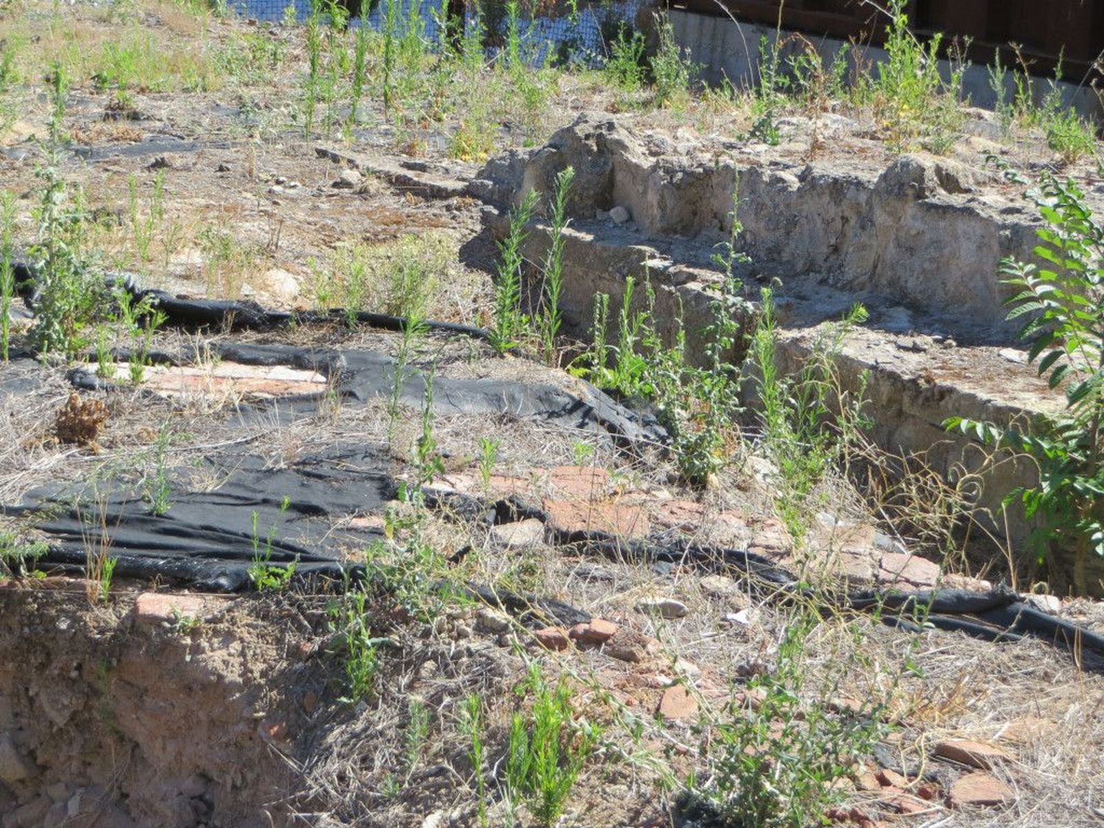 Cerro de San Vicente. Ciudadanos por la Defensa del Patrimonio en Salamanca.