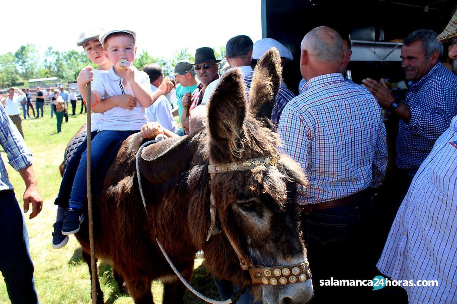 Feria Ganadera de Lumbrales antes de la pandemia Feria Ganadera de Lumbrales antes de la pandemia