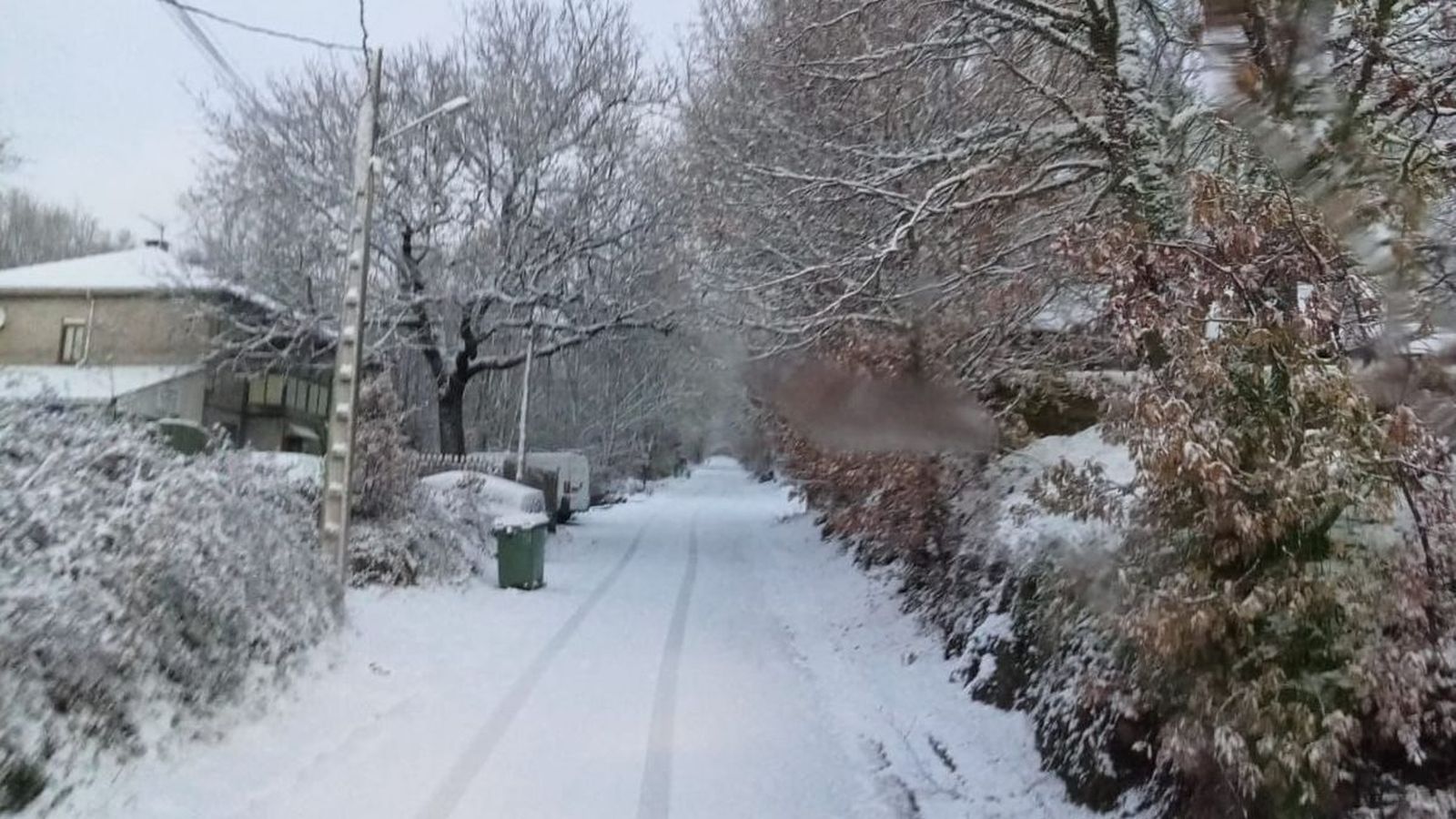 Carretera cubierta de nieve en la comarca de Aliste durante este viernes
