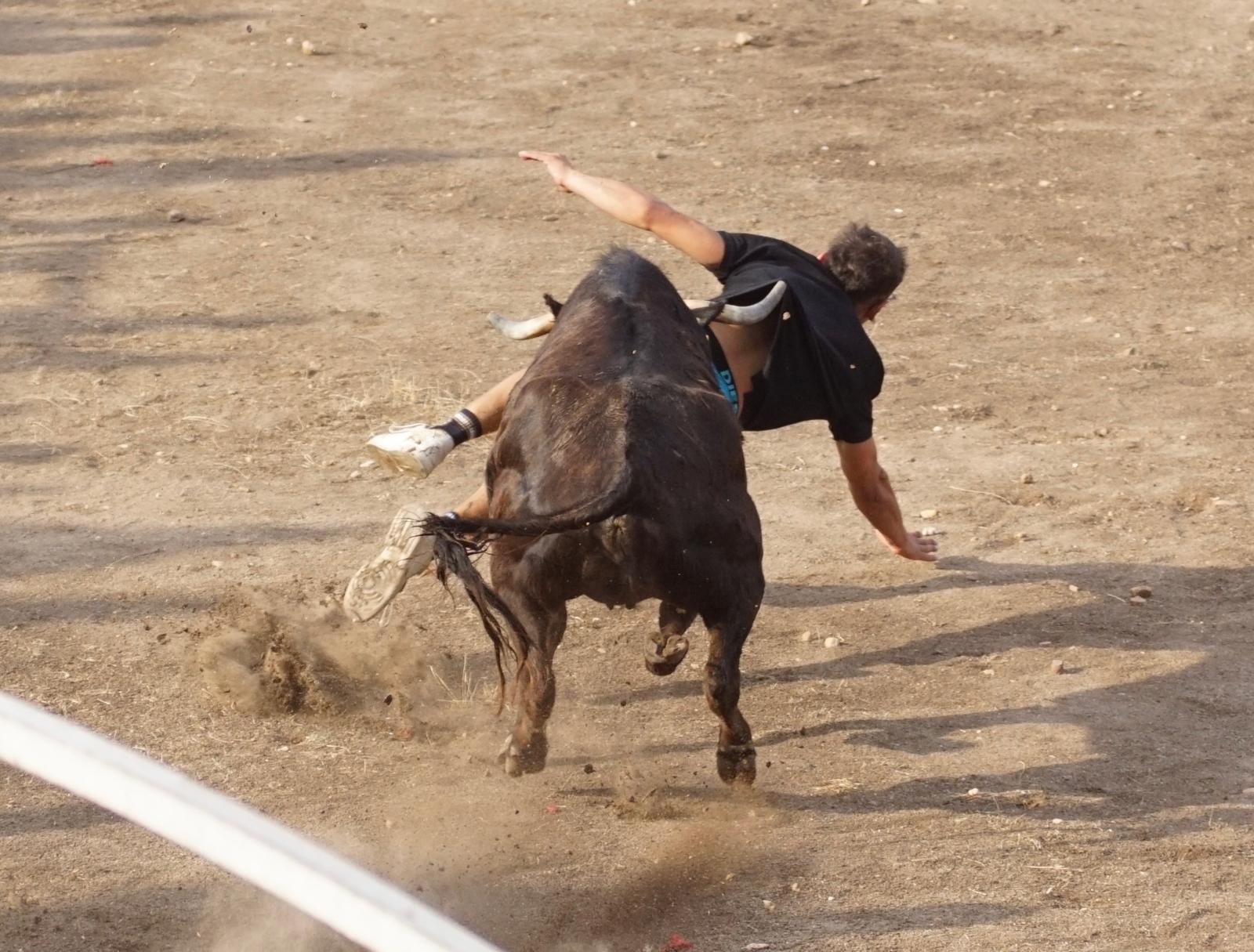 WhatsApp Image 2025-08-01 at 21.53.47.jpeg