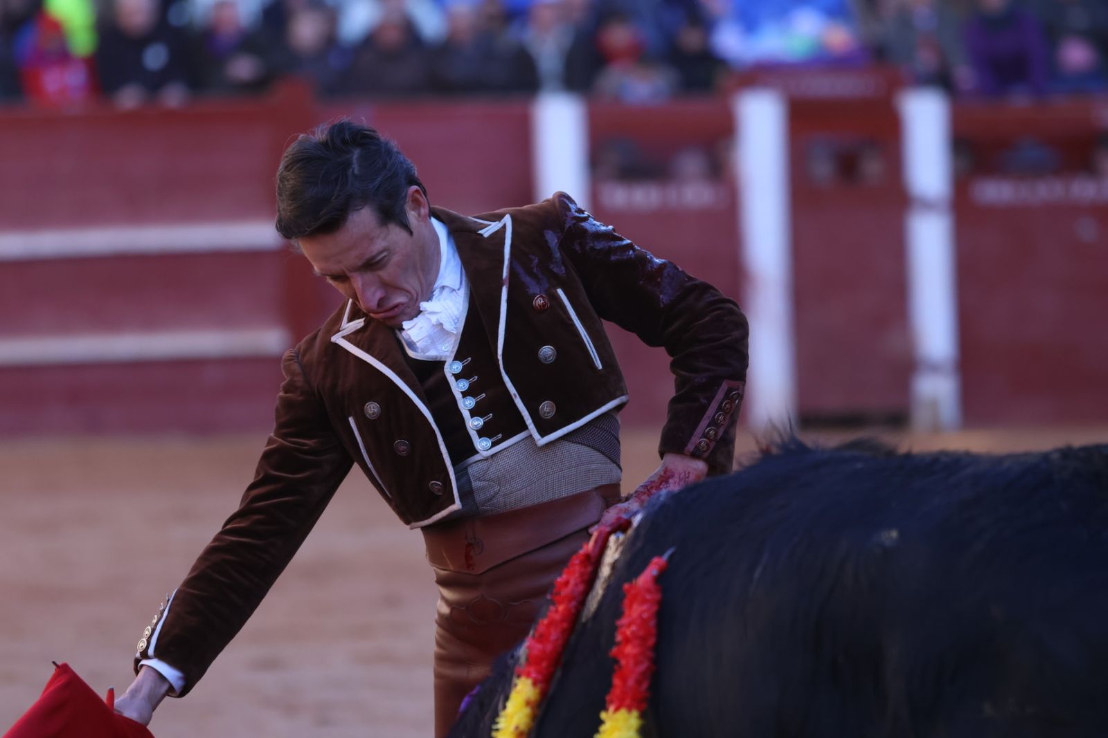 Festival taurino del Sábado en el Carnaval del Toro 2026 de Ciudad Rodrigo