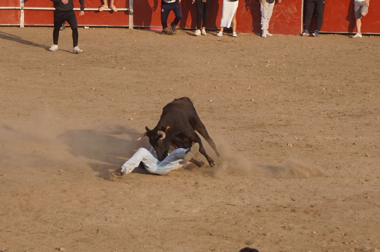 Carreras, risas y tradición: así se ha vivido El Toro en Santa Marta